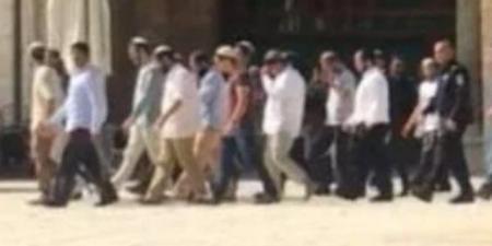 مستوطنون يقتحمون الخليل.. وإصابة 3 فلسطينيين إثر اعتداء في طولكرم