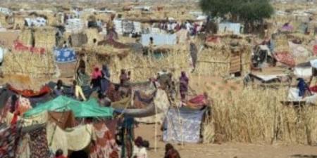 مسؤولة أممية: أطفال السودان يعيشون على حافة الهاوية ويحتاجون اهتمام دولي عاجل