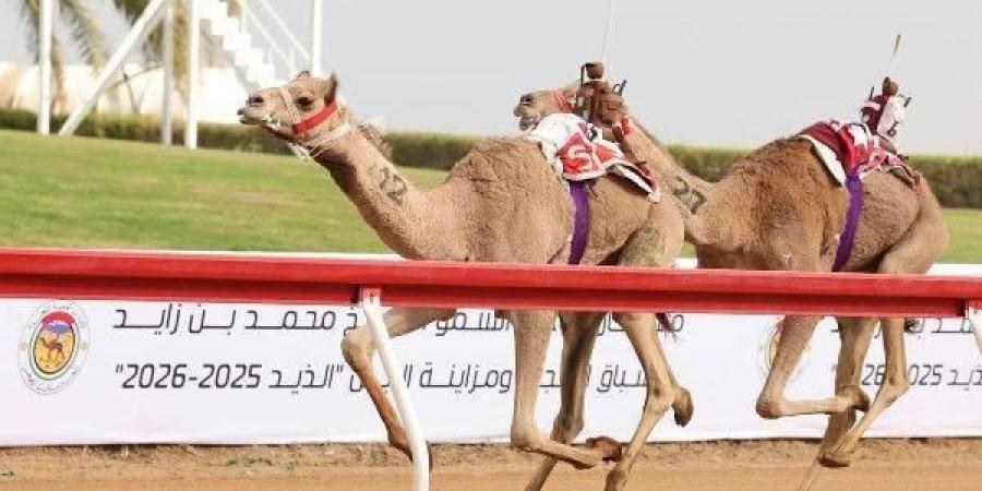 «معراب» تحصد كأس اللقايا الأبكار