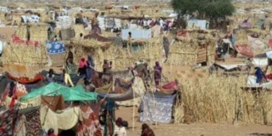 مسؤولة أممية: أطفال السودان يعيشون على حافة الهاوية ويحتاجون اهتمام دولي عاجل